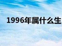 1996年属什么生肖（1996年属什么生肖）