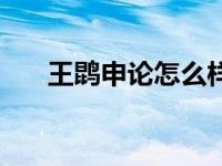 王鹍申论怎么样（花木君申论怎么样）