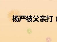 杨严被父亲打（杨严社会姐打架视频）