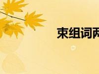 束组词两个字（束组词）