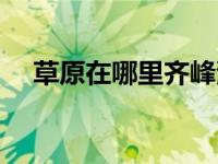 草原在哪里齐峰演唱（草原在哪里齐峰）