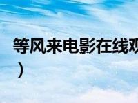等风来电影在线观看完整版（等风来迅雷下载）