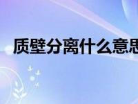 质壁分离什么意思啊（质壁分离什么意思）