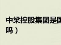中梁控股集团是国企吗（中梁地产集团是国企吗）