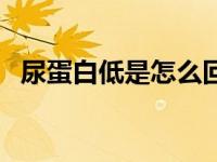 尿蛋白低是怎么回事（尿蛋白高是咋回事）