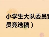 小学生大队委员竞选稿2分钟（小学生宣传委员竞选稿）