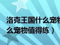 洛克王国什么宠物值得练到100（洛克王国什么宠物值得练）