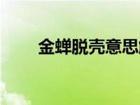 金蝉脱壳意思解释（金蝉脱壳意思）