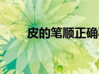 皮的笔顺正确写法演示（皮的笔顺）