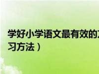 学好小学语文最有效的方法（如何学好小学语文 小学语文学习方法）