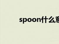 spoon什么意思（spoon怎么读）
