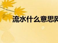 流水什么意思网络语（流水什么意思）
