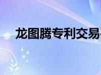 龙图腾专利交易平台（龙图腾女孩是谁）