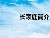 长颈鹿简介资料（长颈鹿简介）