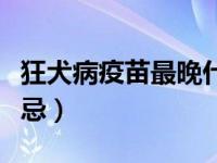 狂犬病疫苗最晚什么打（打狂犬病疫苗后的禁忌）