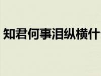 知君何事泪纵横什么意思（知君何事泪纵横）