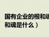 国有企业的根和魂是什么意思（国有企业的根和魂是什么）