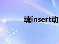 魂insert动漫资源（魂insert）