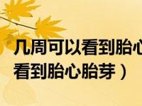 几周可以看到胎心胎芽是不是正常（几周可以看到胎心胎芽）