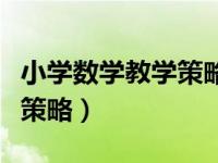 小学数学教学策略张丹读后感（小学数学教学策略）