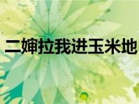 二婶拉我进玉米地（晚上在二婶的玉米地里）