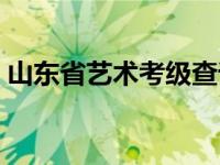 山东省艺术考级查询（山东省艺术考级报名）