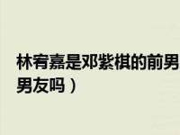 林宥嘉是邓紫棋的前男友吗是真的吗（林宥嘉是邓紫棋的前男友吗）