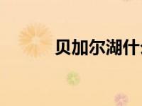 贝加尔湖什么时候不属于中国？