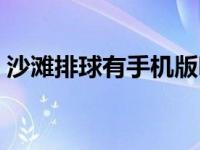沙滩排球有手机版吗（沙滩排球有哪些规则）