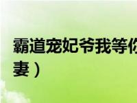 霸道宠妃爷我等你休妻（爆笑宠妃爷我等你休妻）