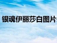 银魂伊丽莎白图片头像（伊丽莎白银魂头像）