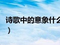 诗歌中的意象什么意思（诗歌意象是什么意思）