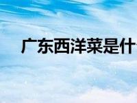 广东西洋菜是什么菜（西洋菜是什么菜）