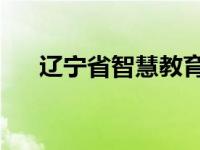 辽宁省智慧教育云平台（l辽宁教育云）