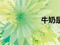 牛奶是什么样的鞋？
