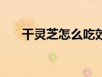 干灵芝怎么吃效果最好（灵芝怎么吃）