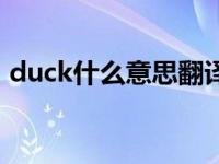 duck什么意思翻译成中文（duck什么意思）