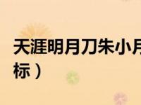 天涯明月刀朱小月坐标（天刀大沧海朱小月坐标）