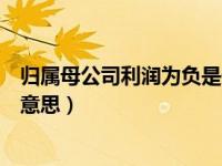 归属母公司利润为负是什么意思（归属母公司净利润是什么意思）