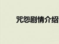 咒怨剧情介绍详细（咒怨剧情介绍）