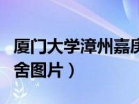 厦门大学漳州嘉庚学院（厦门大学嘉庚学院宿舍图片）