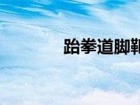 跆拳道脚靶器（跆拳道脚靶）