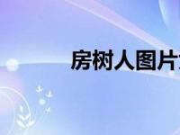 房树人图片大全（房树人图片）