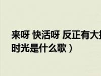 来呀 快活呀 反正有大把时光歌词（来呀快活呀反正有大把时光是什么歌）