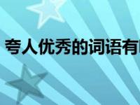 夸人优秀的词语有哪些（夸人的词语有哪些）