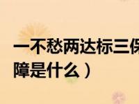 一不愁两达标三保障心得（一达标两不愁三保障是什么）