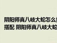 阴阳师真八岐大蛇怎么打2020（阴阳师真八岐大蛇阵容怎么搭配 阴阳师真八岐大蛇阵容搭配推）