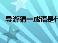 导游猜一成语是什么成语（导游猜一成语）