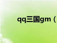 qq三国gm（谁知道QQ三国私服）