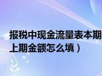报税中现金流量表本期和上期金额（现金流量表本期金额和上期金额怎么填）